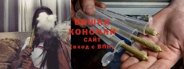 прущие грибы Новозыбков