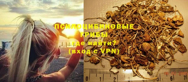 прущий лед Няндома