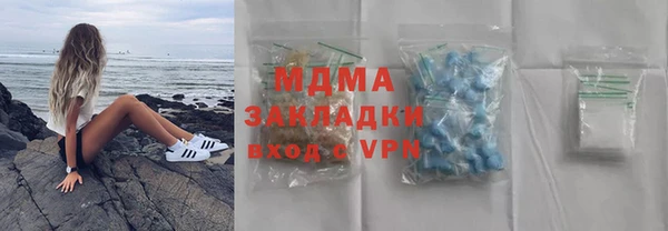 прущие грибы Новозыбков
