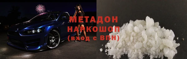 прущие грибы Новозыбков