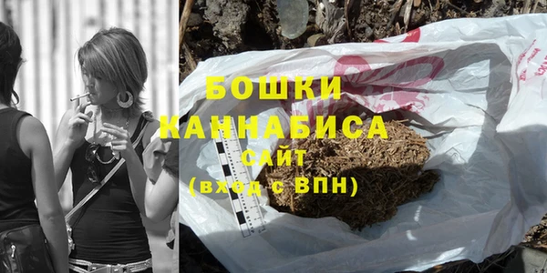 прущие грибы Новозыбков