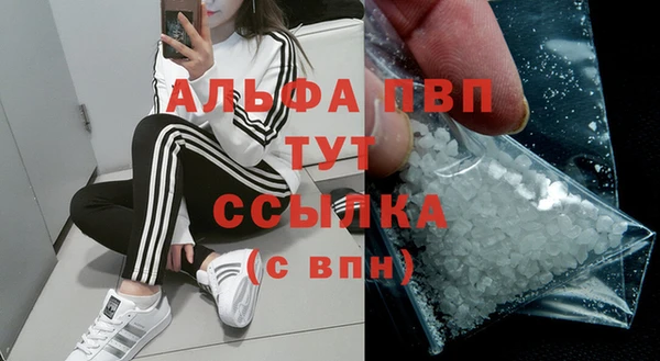 прущие грибы Новозыбков