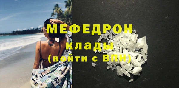 прущие грибы Новозыбков
