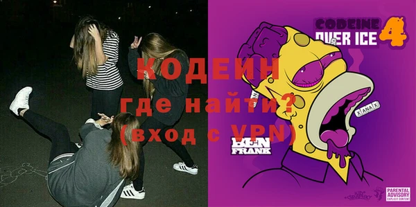 прущие грибы Новозыбков