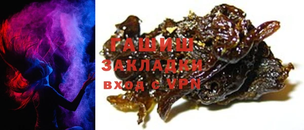 прущие грибы Новозыбков