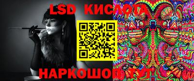 амф Гатчина