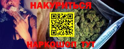 амф Гатчина