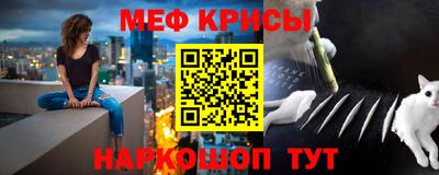 амф Гатчина