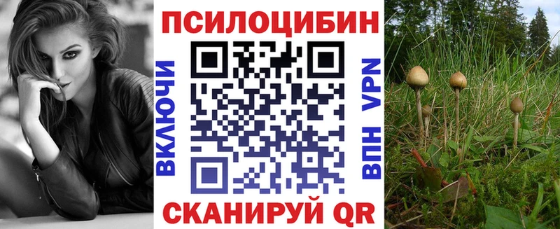 blacksprut зеркало  как найти закладки  Челябинск  Псилоцибиновые грибы Magic Shrooms 