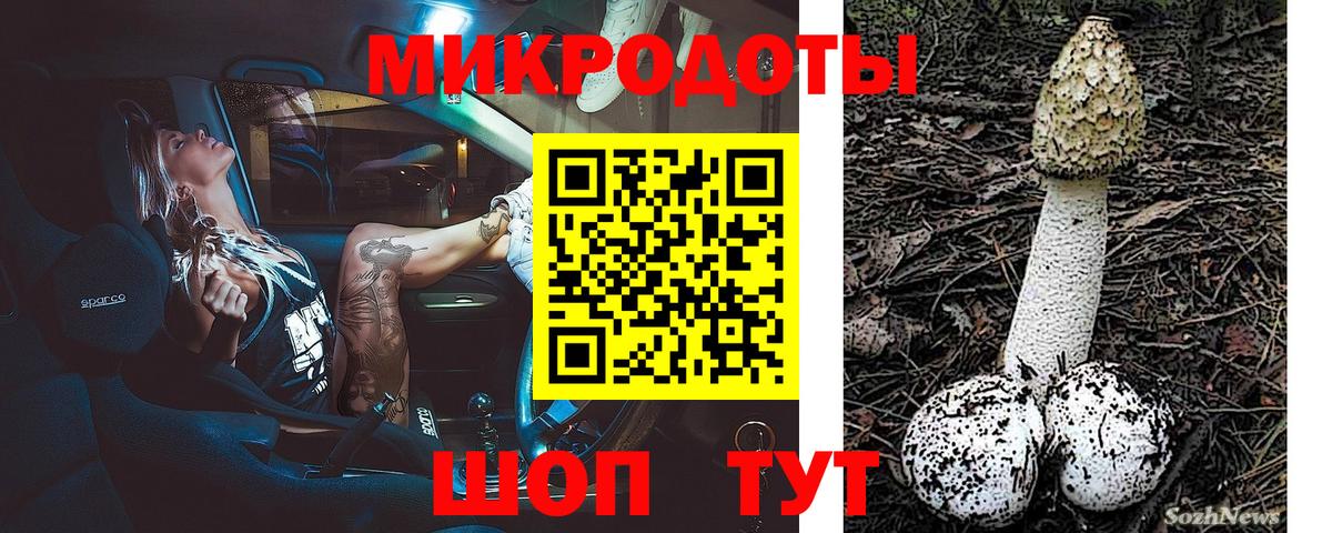 Галлюциногенные грибы Cubensis Челябинск