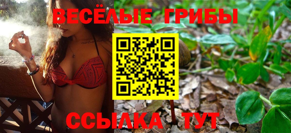 Челябинск  где купить   Вход с VPN  Галлюциногенные грибы мухоморы 
